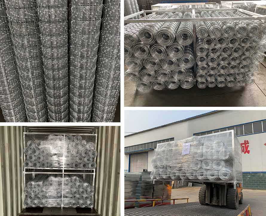 SUS binding wire mesh animal fence SUS binding wire mesh animal fence