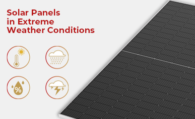 Das gotas de chuva aos raios: descobrindo como os painéis solares se adaptam às mudanças climáticas
